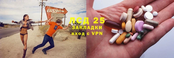 индика Аркадак
