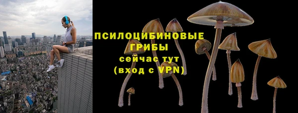 мескалин Баксан