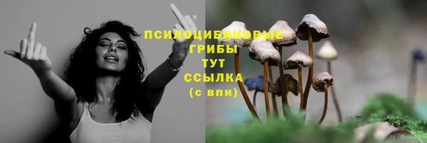 меф Армянск
