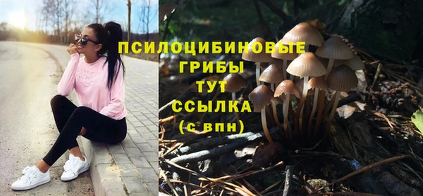 гидропоника Балахна