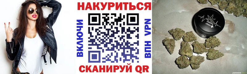 купить наркотик  Щигры  Марихуана сатива 